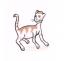 tomcat.jpg